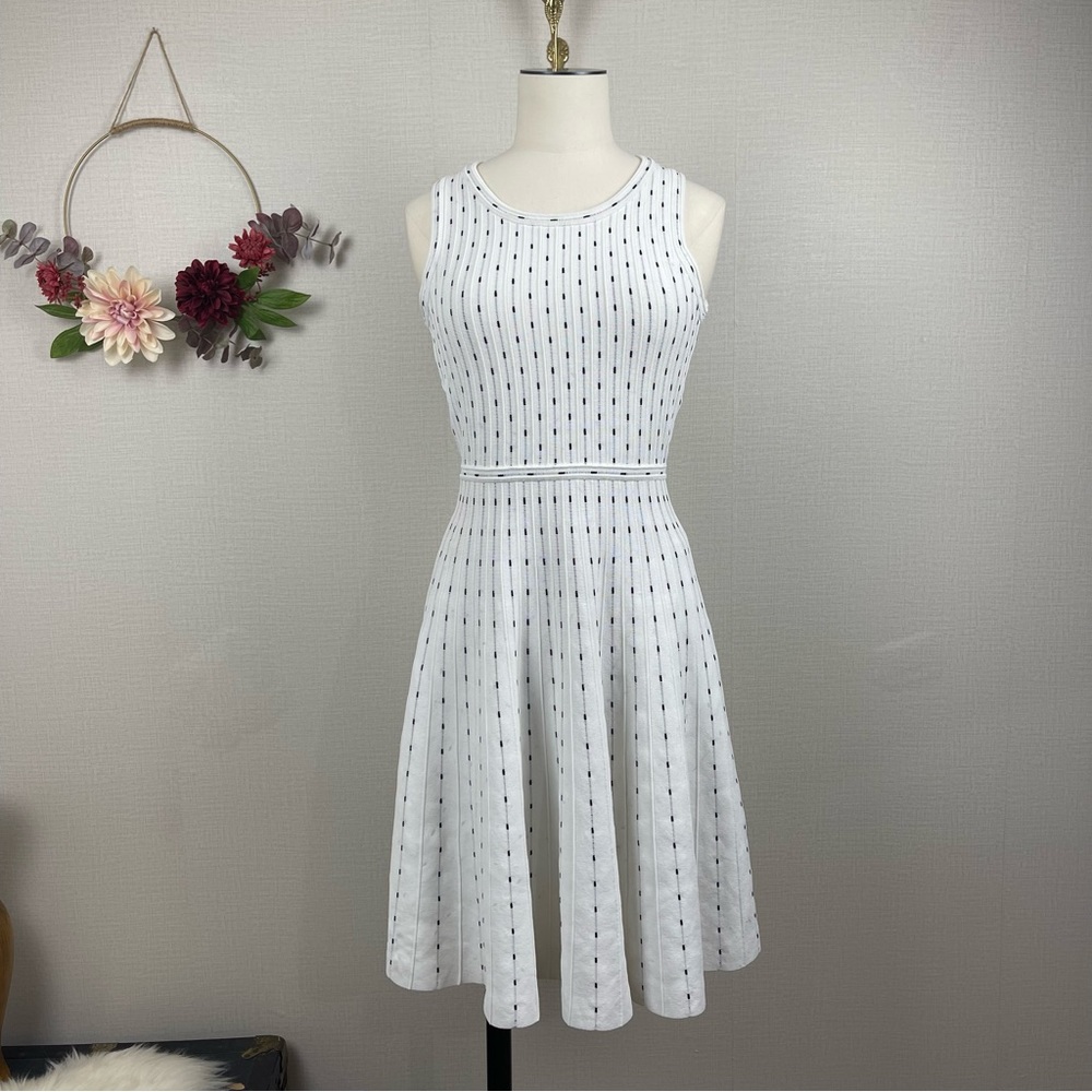 Milly Vertical Dot Flare Dress in Ivory & Black size P 0-2